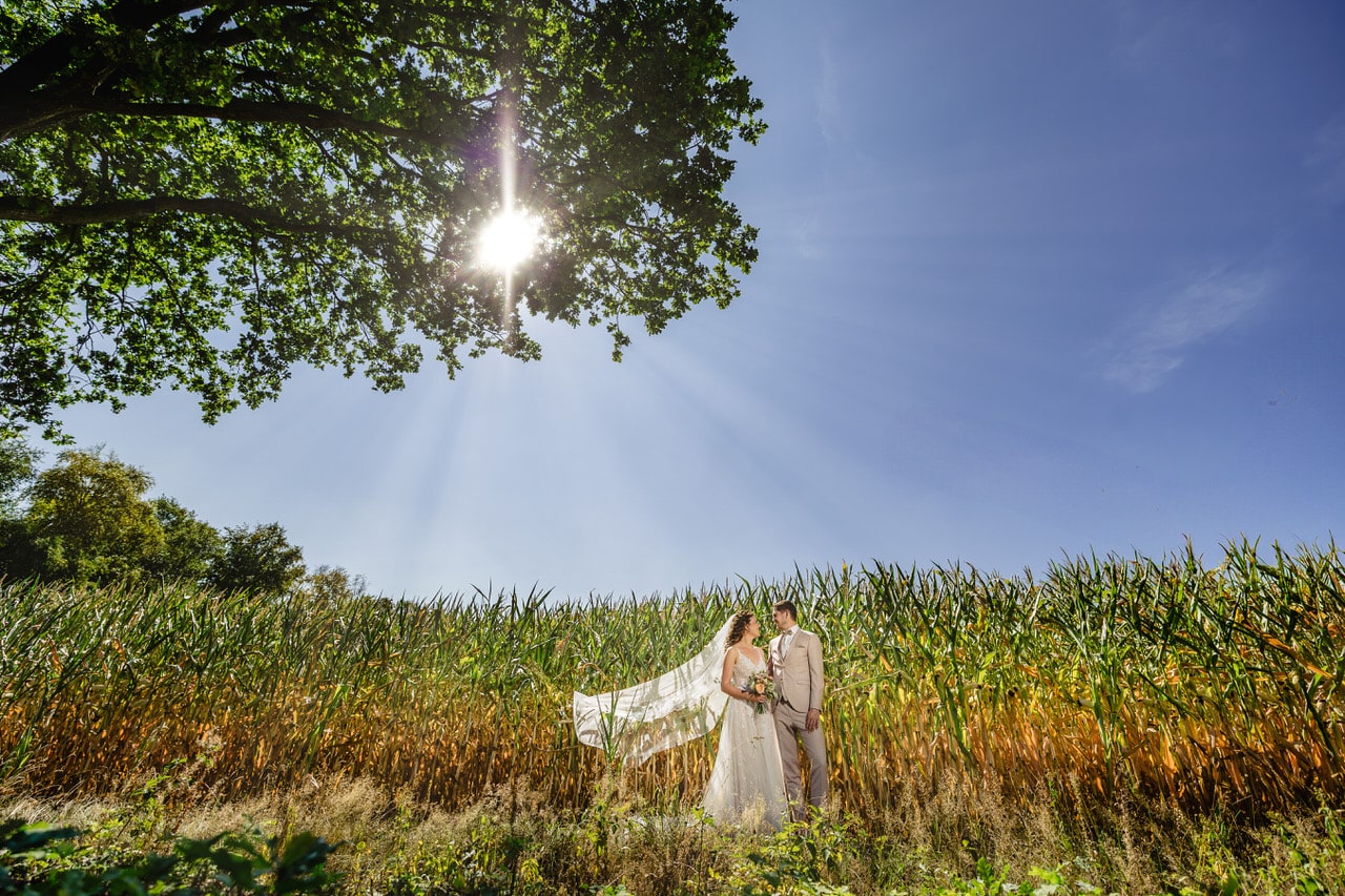 Trouwen tussen het mais | Trouwfotograaf Limburg