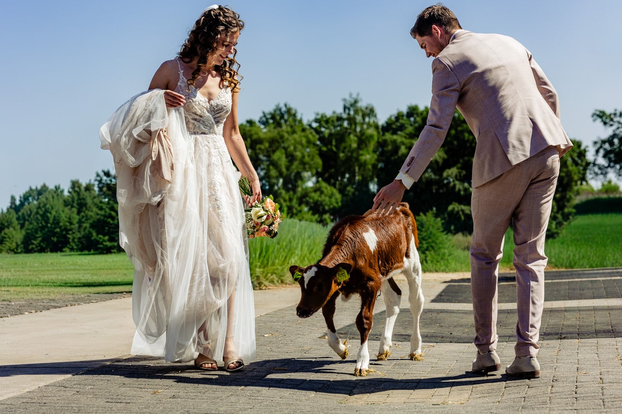Trouwen tussen het mais | Trouwfotograaf Limburg