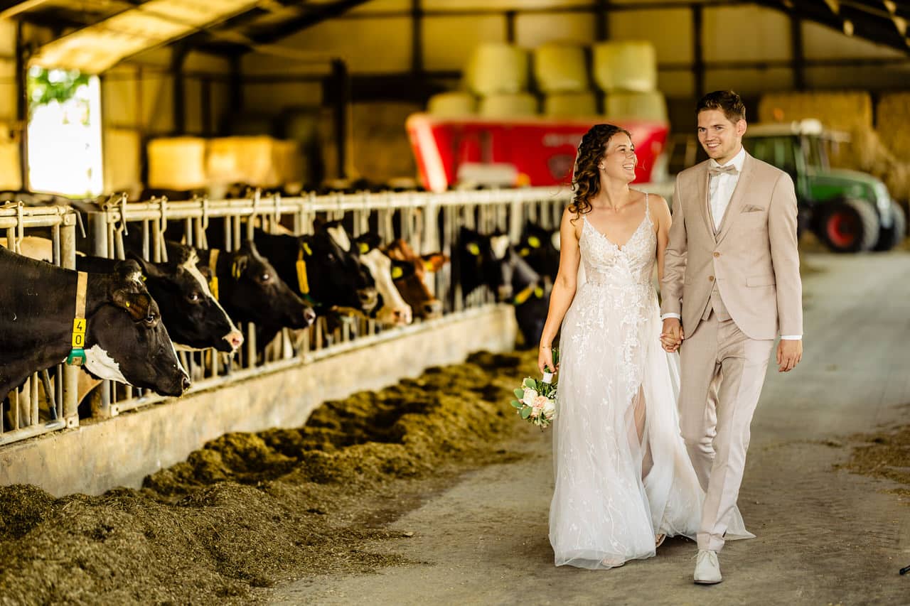 Trouwen tussen het mais | Trouwfotograaf Limburg