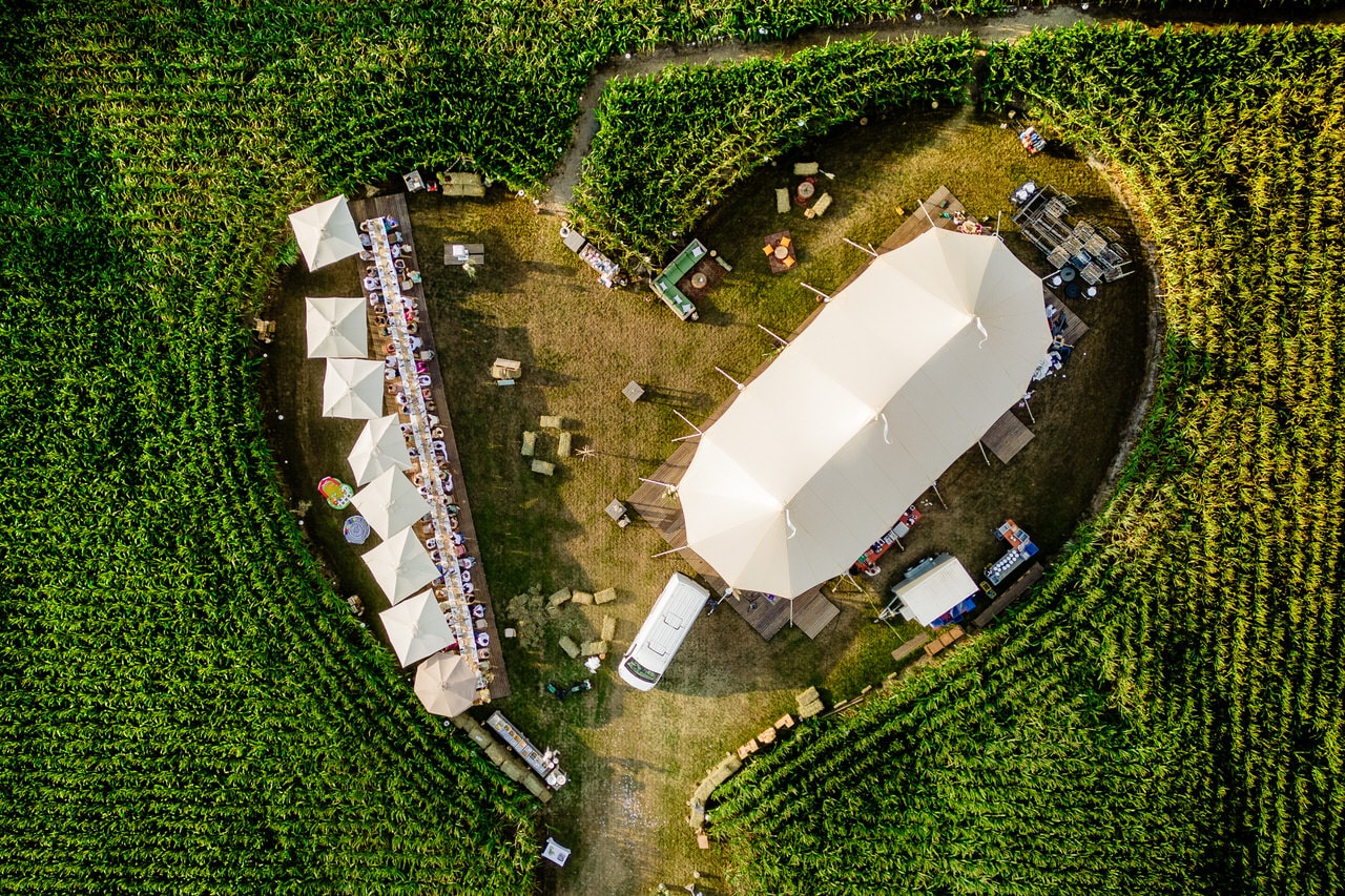Trouwen tussen het mais | Trouwfotograaf Limburg